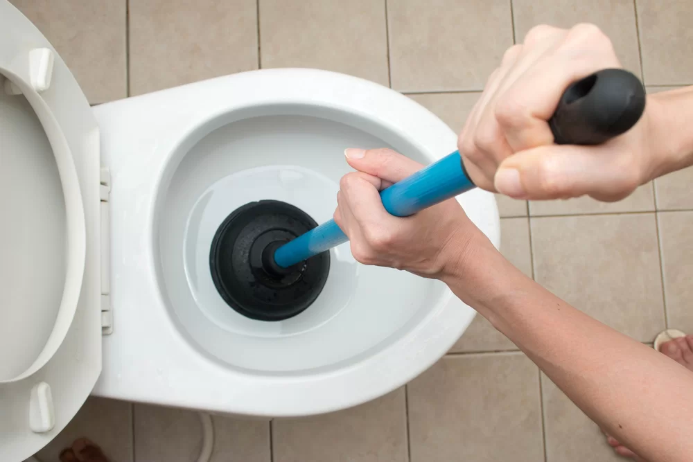 Ce să faci dacă te confrunți cu o conductă înfundată? 10 Pompa de desfundat WC 453183739